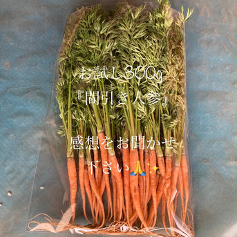 ［お試し品］間引き人参🥕『彩誉』 300g 野菜/人参通販