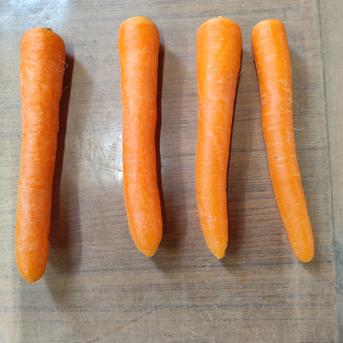 訳あり含む】無農薬で育った 人参 大きさ色々にんじん 9kg ｜ 野菜