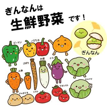 銀杏の王様】祖父江銀杏《藤九郎》中玉2Lサイズお試し350g