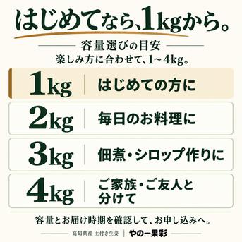 土付き新生姜4kg｜香る食卓、明日も笑顔｜高知県産｜たっぷり仕込み