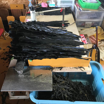 【超激安商品】利尻昆布（送料無料）3.0kg入れ 3.0kg 魚介類/海藻通販