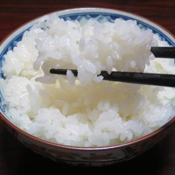 令和4年長野県産　風さやか玄米10㎏炊飯食味値８３点美味しいお米　硬めが好きな方推奨 10㎏ 米・穀物/玄米通販