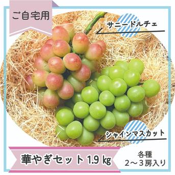 岡山県産『シャインマスカット＆サニードルチェ』ご自宅用1.9kg