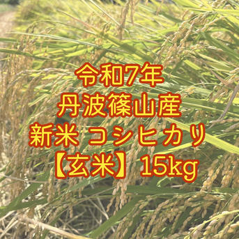 玄米】新米 令和7年丹波篠山産コシヒカリ 15kg | 米・穀物/玄米 産直