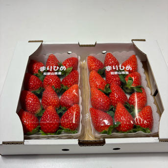 まりひめ いちご(箱込み約700g×2) 特大 1週間以内に発送 苺 イチゴ 和歌山県産まりひめ 旬摘みツインセット ｜ 果物/いちご 産直アウル