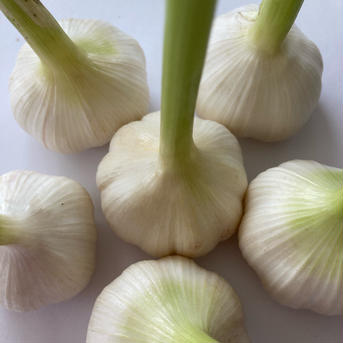 極上　ニンニク　国産　1kg 1kg 野菜/にんにく通販