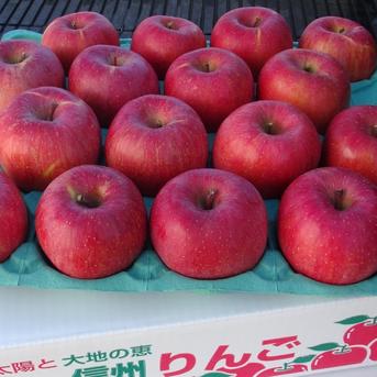 贈答用】サンふじ 約3kg（7～11個）×2箱 【お歳暮】等にどうぞ