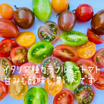 【有名ホテルシェフ御用達】カラダ喜ぶ『Mサイズ冬のカラフル野菜セット8品目』 【80サイズ】カラフル野菜やレア野菜・一般野菜が合計8品目、箱一杯にお入れします！ 野菜/野菜セット・詰め合わせ通販