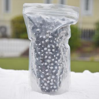 ミ*ー様 ゲリラ⁈オークション冷凍ブルーベリー4キロ⭐︎ 冷凍クール便発送 ミ*ー様 ゲリラ⁈オークション冷凍ブルーベリー4キロ⭐︎ 冷凍