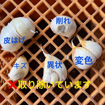 （ばら中小800g）こだわり強めな乾燥にんにく 中小粒800g 野菜/にんにく通販