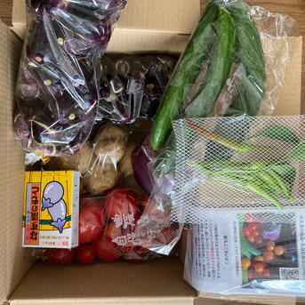 お盆にはこれ！伝統野菜　薄皮丸茄子　漬物用　2.0kg 薄皮丸茄子500✖️4 野菜/茄子通販