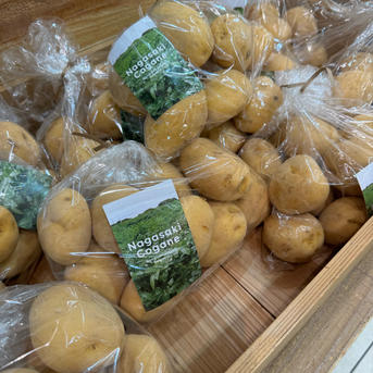 ☆N.T☆！俵マゼラン10㎏、ながさき黄金じゃがいも10㎏　計20㎏ ながさき黄金Lサイズ10kg(春作) ｜ 野菜/じゃがいも 産直アウル 農家