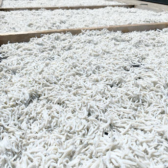 ふっくら仕上げ 釜揚げしらす1kg 小分け4P包装 1kg(250g×4P) 魚介類/しらす・ちりめん通販