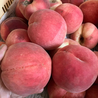🆒クール便🆒＜加工用＞【南アルプスの桃🍑幸茜】2キロ 減農薬