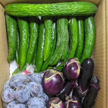 野菜とプルーン 3kg 野菜/野菜セット・詰め合わせ通販