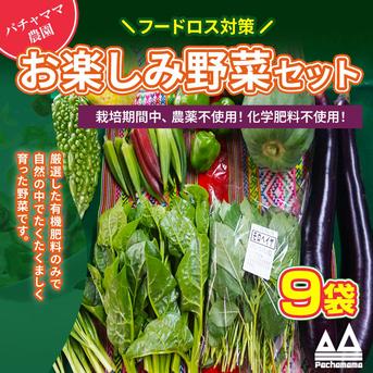 農園自慢の情熱野菜セット☆訳あり9袋☆発送タイミングおまかせ