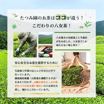 当店人気No.1八女深蒸し茶煎茶清風100g 100g お茶/緑茶通販