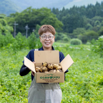 新じゃがいも キタアカリ 20kg箱込 50-100 郵 徳島県産 農家直送