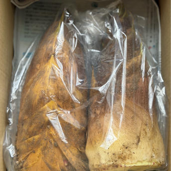 徳島県産 たけのこ 約2kg 筍 タケノコ｜Yahoo!フリマ（旧PayPay by