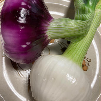 玉ねぎ　赤玉ねぎ　詰め合わせ　無農薬　4kg 4kg 野菜/玉ねぎ通販
