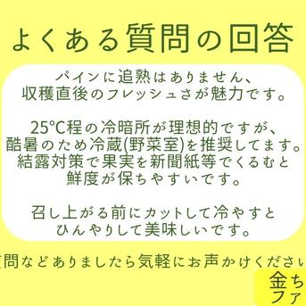 半額】レビュー投稿者様限定『ゴールドバレル』約2.0kg ｜ 果物