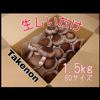 【常温配送】朝採れ新鮮生しいたけ✨【1.5kg】M~Lサイズ 1.5kg 野菜/きのこ通販