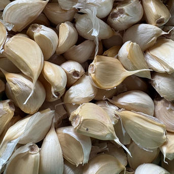 わー様専用】2L以上20kg｜農家直送・風干し半乾燥にんにく（土付き