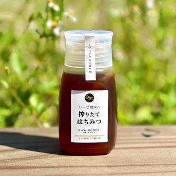 沖縄県産 生はちみつ280g｜非加熱RAW HONEY ｜ はちみつ/はちみつ 産直