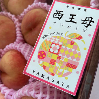 長生の桃 山形県産白桃西王母【3キロ大玉】 ｜ 果物/もも 産直アウル