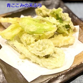 【朝採れ】天然こごみ 山直送 新潟県産 無農薬 春の味覚 5kg 食品 【朝採れ】天然こごみ 山直送 新潟県産 無農薬 春の味覚 5キロ