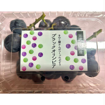 きのこ屋さんがつくったぶどう ぶどう400gパック×2(計800g) 果物/ぶどう通販