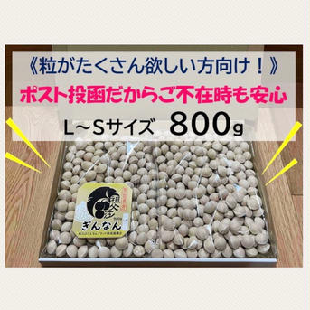 【限定10箱！たっぷり800g】祖父江産銀杏〈藤九郎〉お料理用MIXサイズ 800g 野菜/その他野菜通販