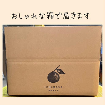 【完熟中生みかん】有田みかん★ギフトにも！ 3キロ2Sサイズ 果物/温州みかん通販