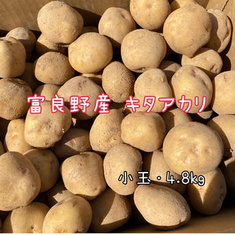 富良野産 小玉 キタアカリ！ 4.8kg じゃがいも きたあかり 4.8kg 野菜/じゃがいも通販