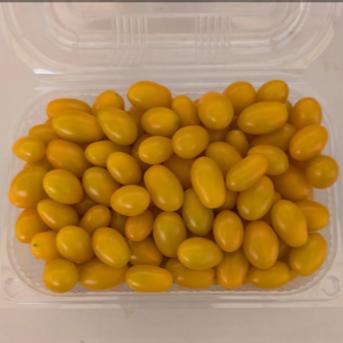 カラーミニトマト　ナポリターナカナリア　700g 1kg  野菜/トマト通販