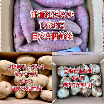 【鹿児島産】甘塩新玉ねぎ5キロ・甘塩じゃがいも5キロ・甘塩サツマイモ1.5キロ^_^ 箱込み12.5キロ前後 野菜/野菜セット・詰め合わせ通販