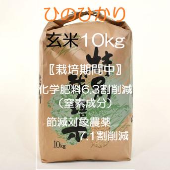 食品 【期間限定】令和7年産 こだわりのお米 コシヒカリ 玄米 10kg