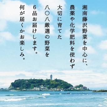 【合計8品】湘南からのおまかせ健康セット（旬の無農薬野菜6品＋菊芋加工品2品） 旬の無農薬野菜6品+菊芋加工品2品 野菜/野菜セット・詰め合わせ通販