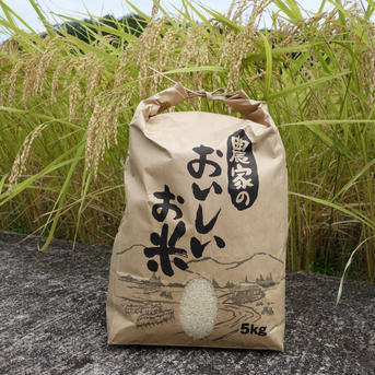 令和7年産 減農薬コシヒカリ 5kg ｜ 米・穀物/米/精米 産直アウル 農家