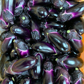 賢いチョイス！今探していたのはこの茄子🍆30本＋おまけ有り 30本＋おまけ有り 野菜/茄子通販