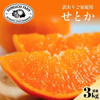 訳ありだけど美味しさそのまま】せとか 3kg 愛媛県産 ｜ 果物/オレンジ