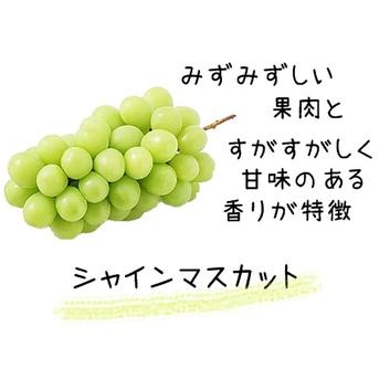 こだわりの種あり】2色粒々ぶどう（シャイン＆クイーンニーナ） 1.5kg 