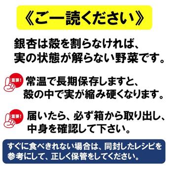 令和7年度 銀杏(ぎんなん) 5kg 2L〜4Lサイズ 数量限定】祖父江銀杏【藤九郎】特大大粒4Lサイズ ｜ 野菜/その他