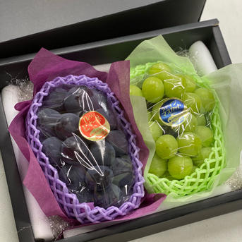 こだわり厳選葡萄】ニューピオーネ&シャインマスカット 約2.4kg | 果物