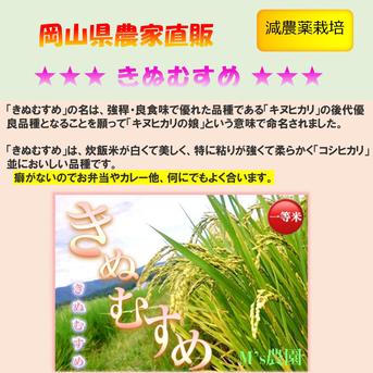 2024年 岡山県産 きぬむすめ 24kg 玄米 24kg 米・穀物/玄米通販