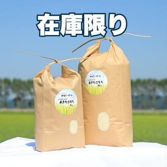 【食べた瞬間笑顔になれる♪】優しい甘みの あきたこまち10㎏/特別栽培米 白米10㎏ 米・穀物/米/精米通販