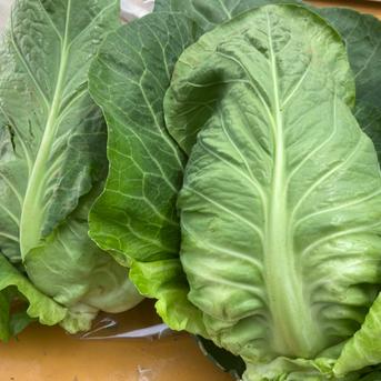[冷蔵便]7つのお任せ野菜×2倍量！農薬・化学肥料不使用の野菜セット🥬 7つのお任せ×2倍量 野菜/野菜セット・詰め合わせ通販