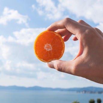 最高級】真穴（まあな）産地直送 極上みかん S〜Lサイズ 10キロ 贈答