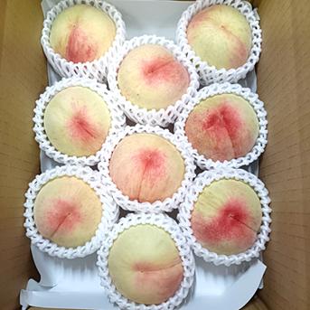 《冷蔵便》【家庭用】桃 2kg (8～10玉) 愛媛県産 8～10玉 果物/もも通販