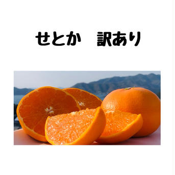 【数量限定】せとか　訳あり3キロ×2箱 訳あり3キロ×2箱 果物/オレンジ・その他みかん通販